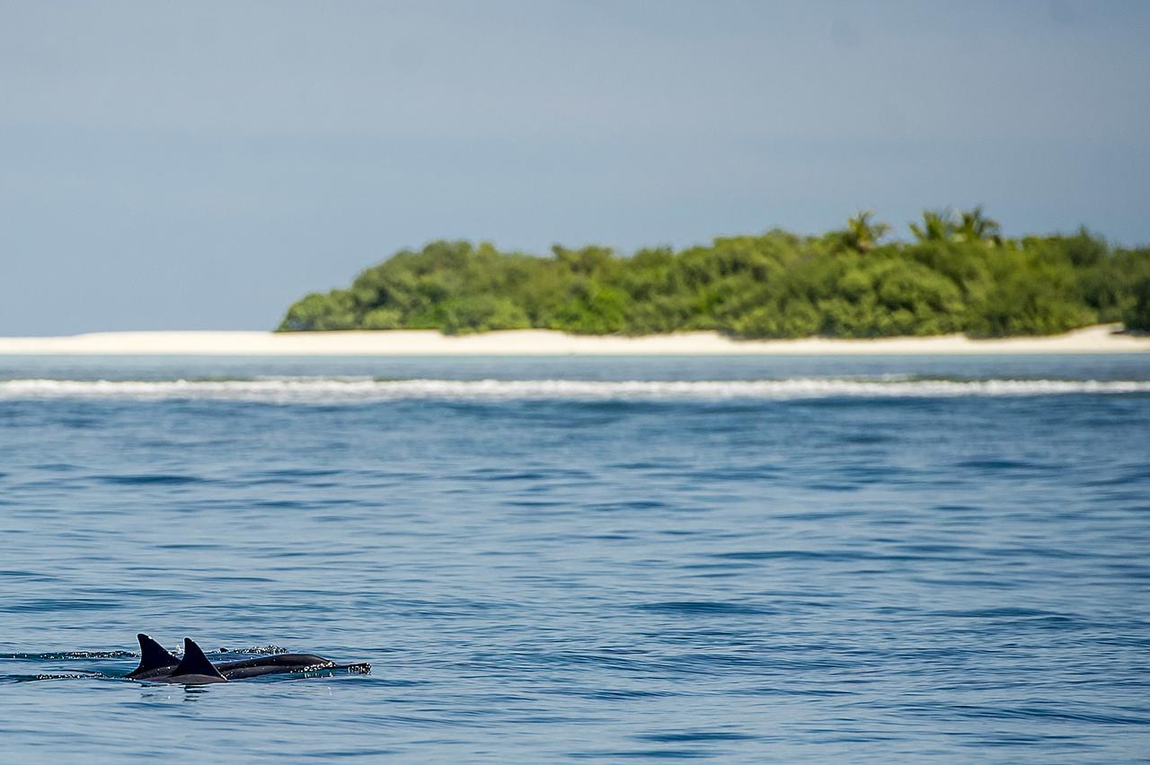 Detour Beach View Hangnaameedhoo Eksteriør bilde